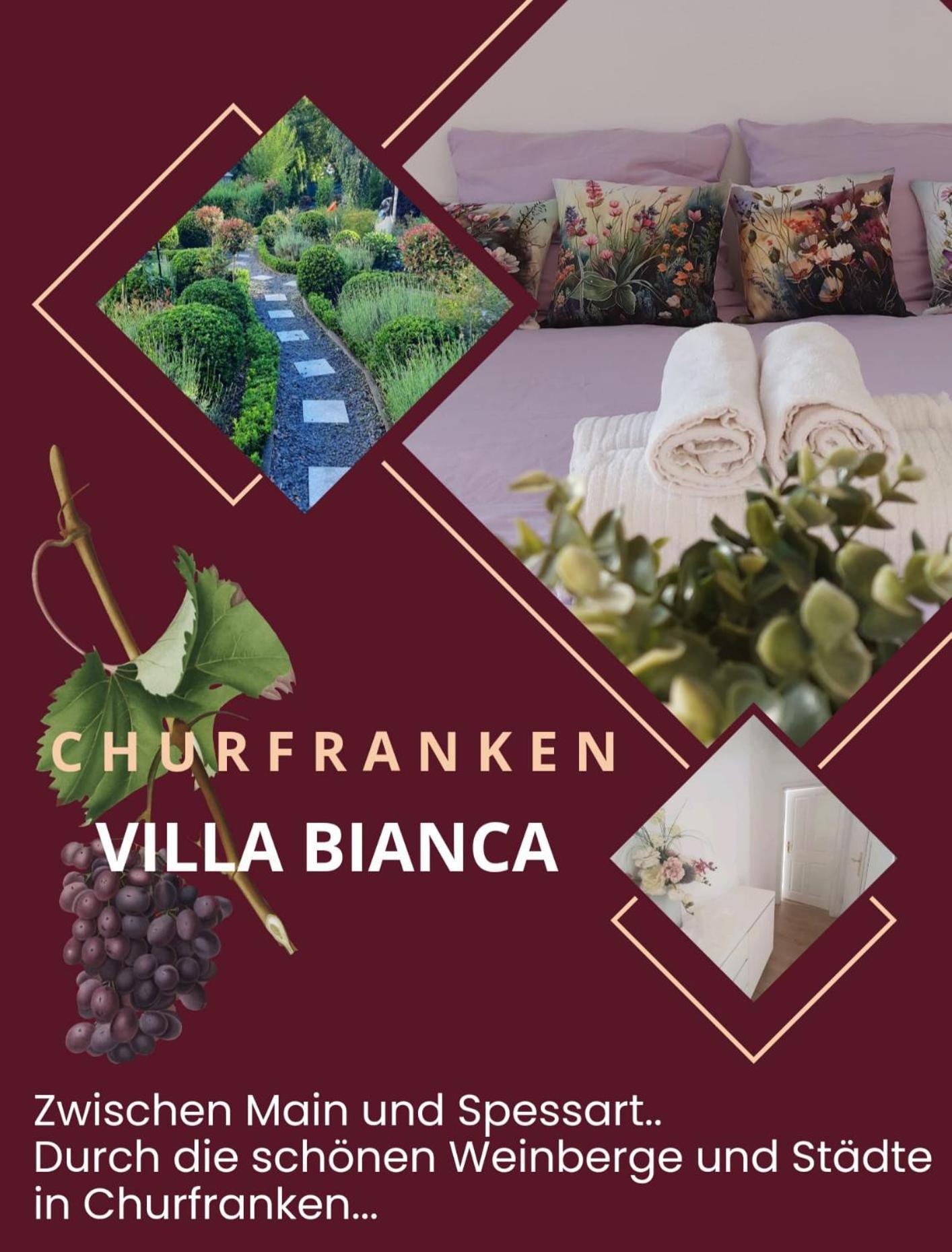 Villa Bianca - Holiday & Business Elsenfeld Buitenkant foto