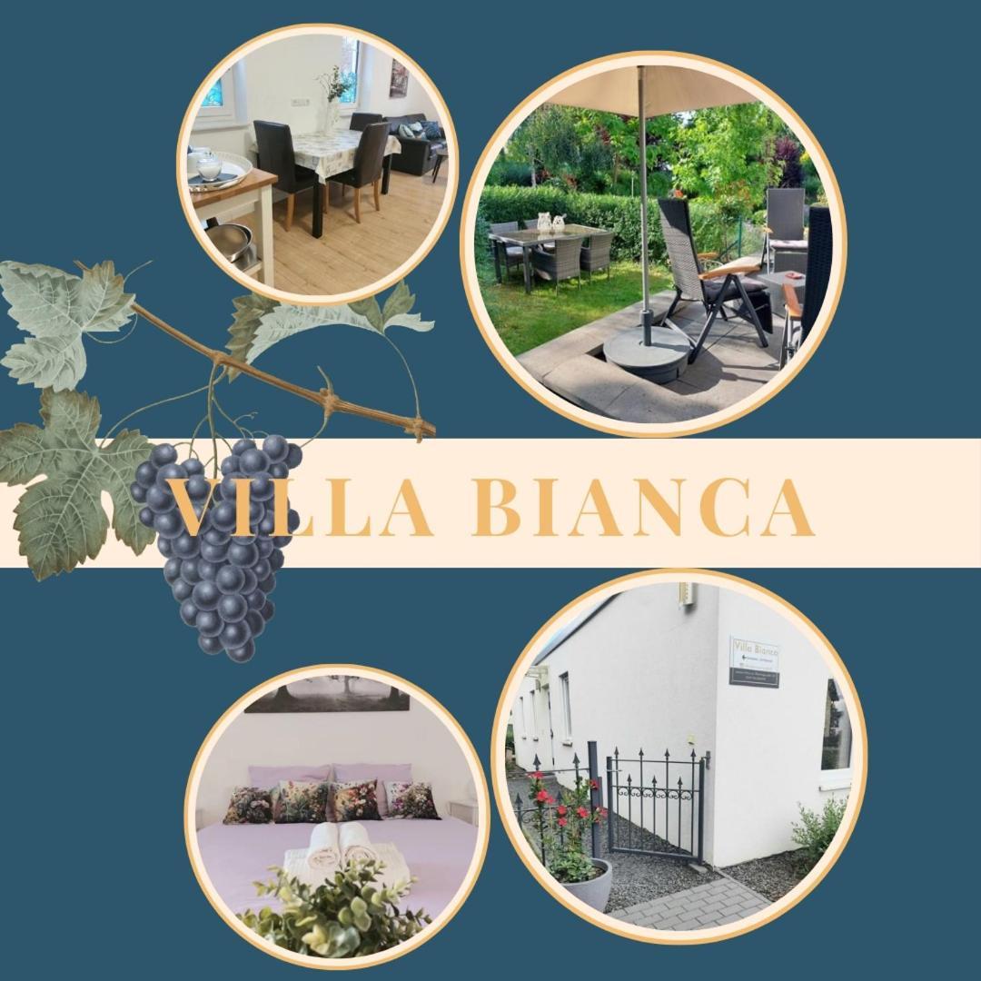 Villa Bianca - Holiday & Business Elsenfeld Buitenkant foto